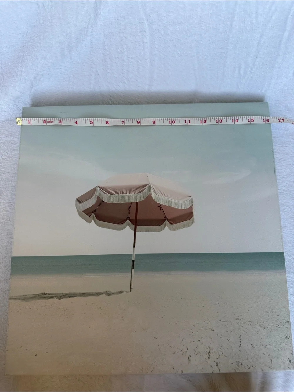 Pink Umbrella Canvas Picture